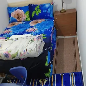 Проживание в семье Comfydees 